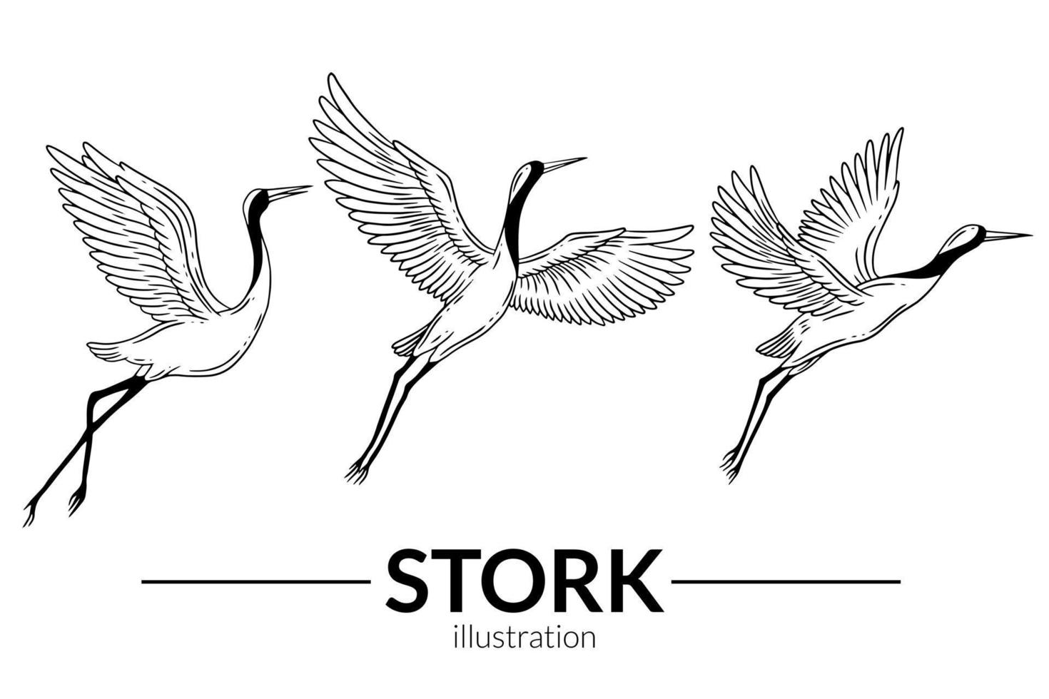 Set Stork Bird Flying Tropical cartoon Wild birds cranes Hand Drawn vector
