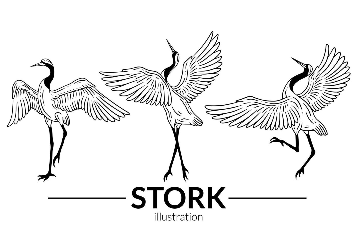 Set Stork Bird Flying Tropical cartoon Wild birds cranes Hand Drawn vector