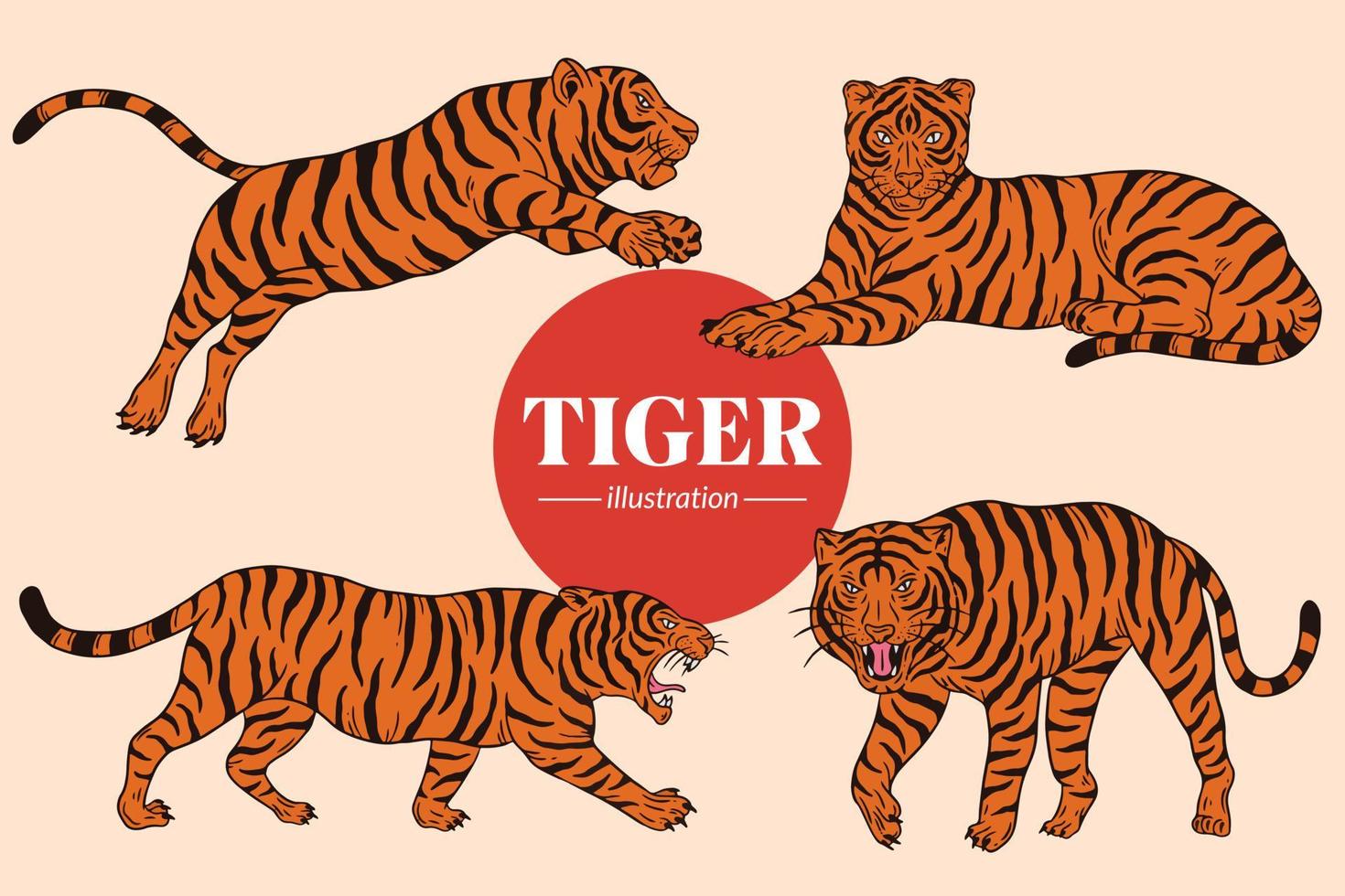 Set Tiger face wild poses isolated cartoon illustration vector