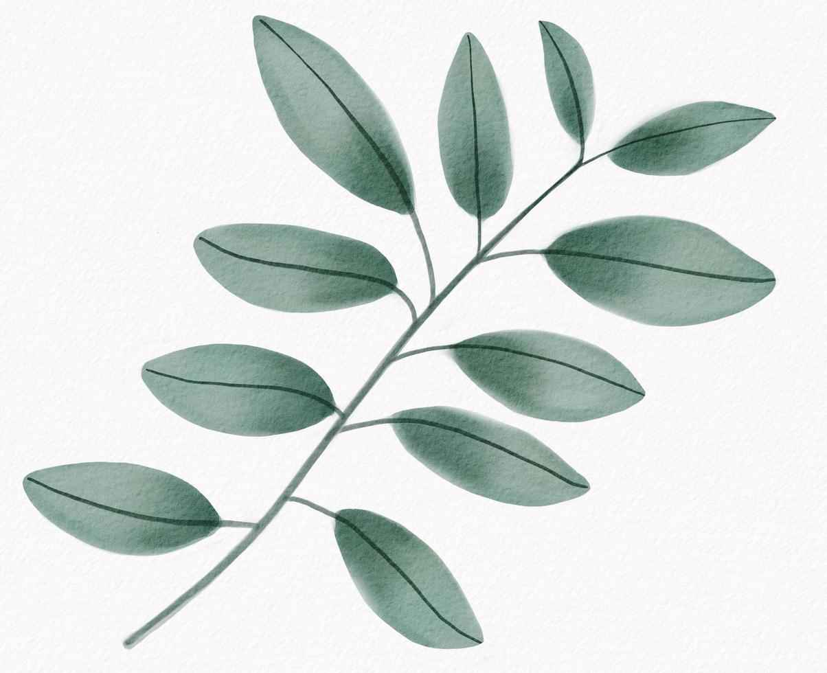 Abstract watercolor painting of floral and leaf on white background. photo