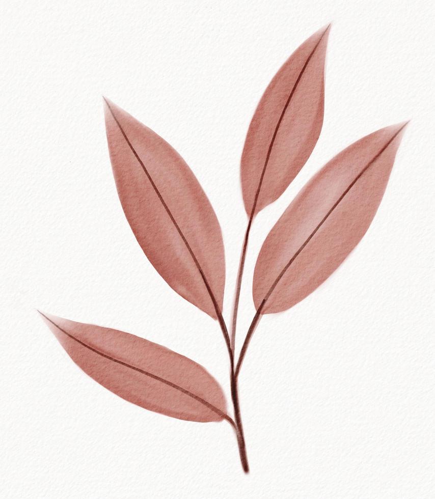 Abstract watercolor painting of floral and leaf on white background. photo