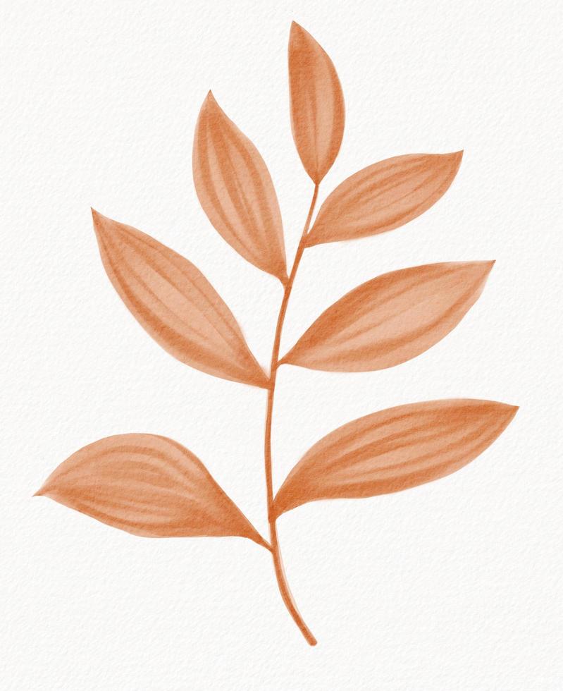 Abstract watercolor painting of floral and leaf on white background. photo