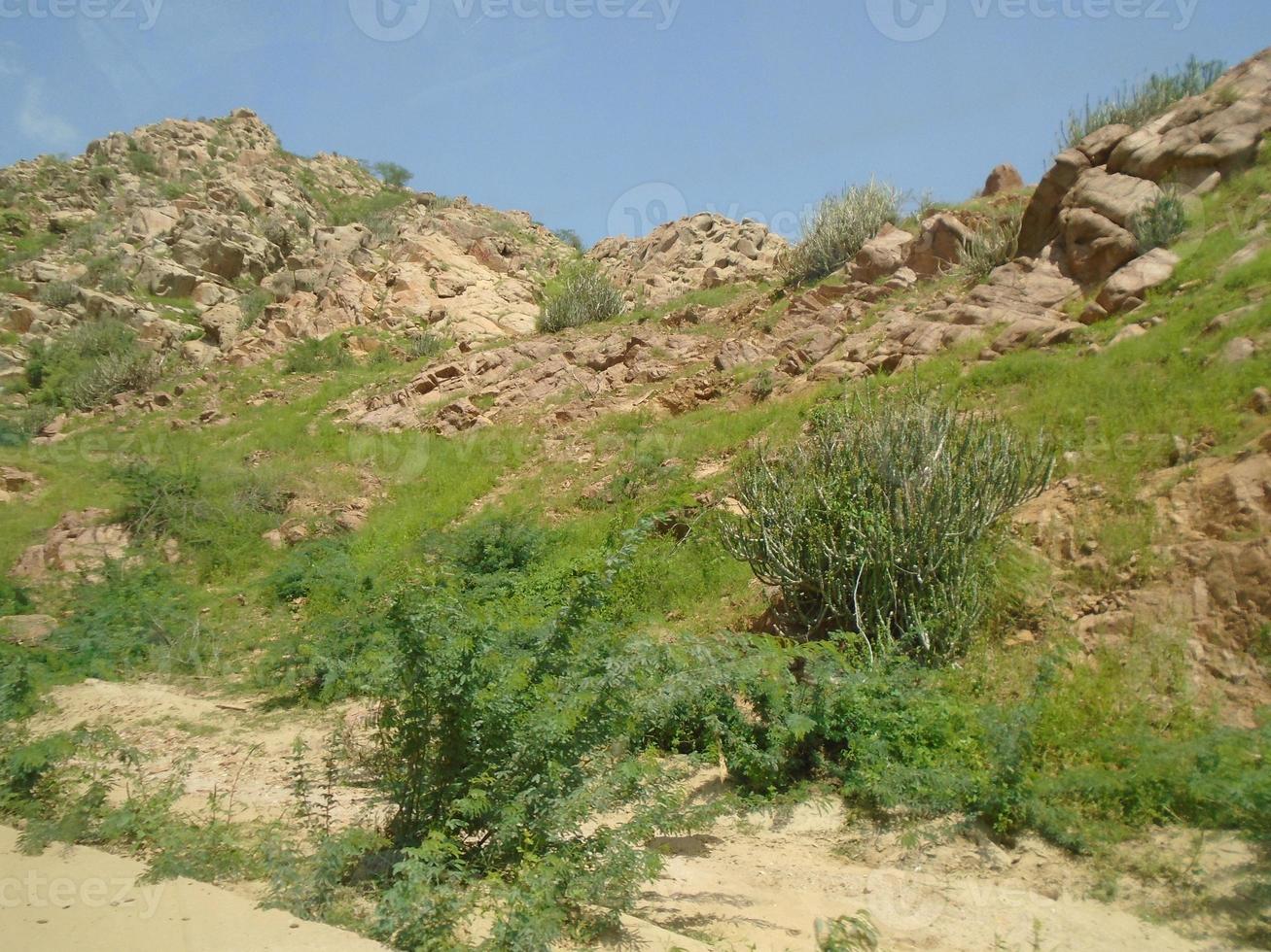 Amazing Beauty of Thar Desert photo