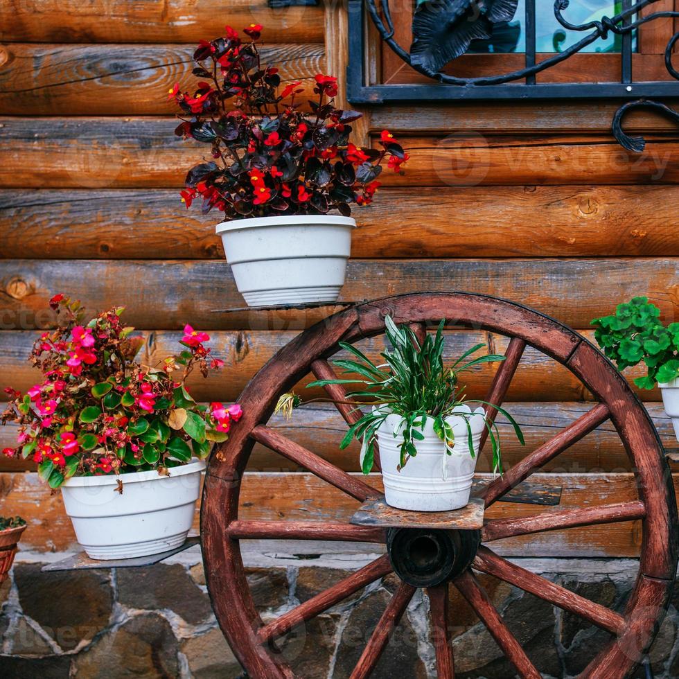 wheel cart with pots of flowers photo