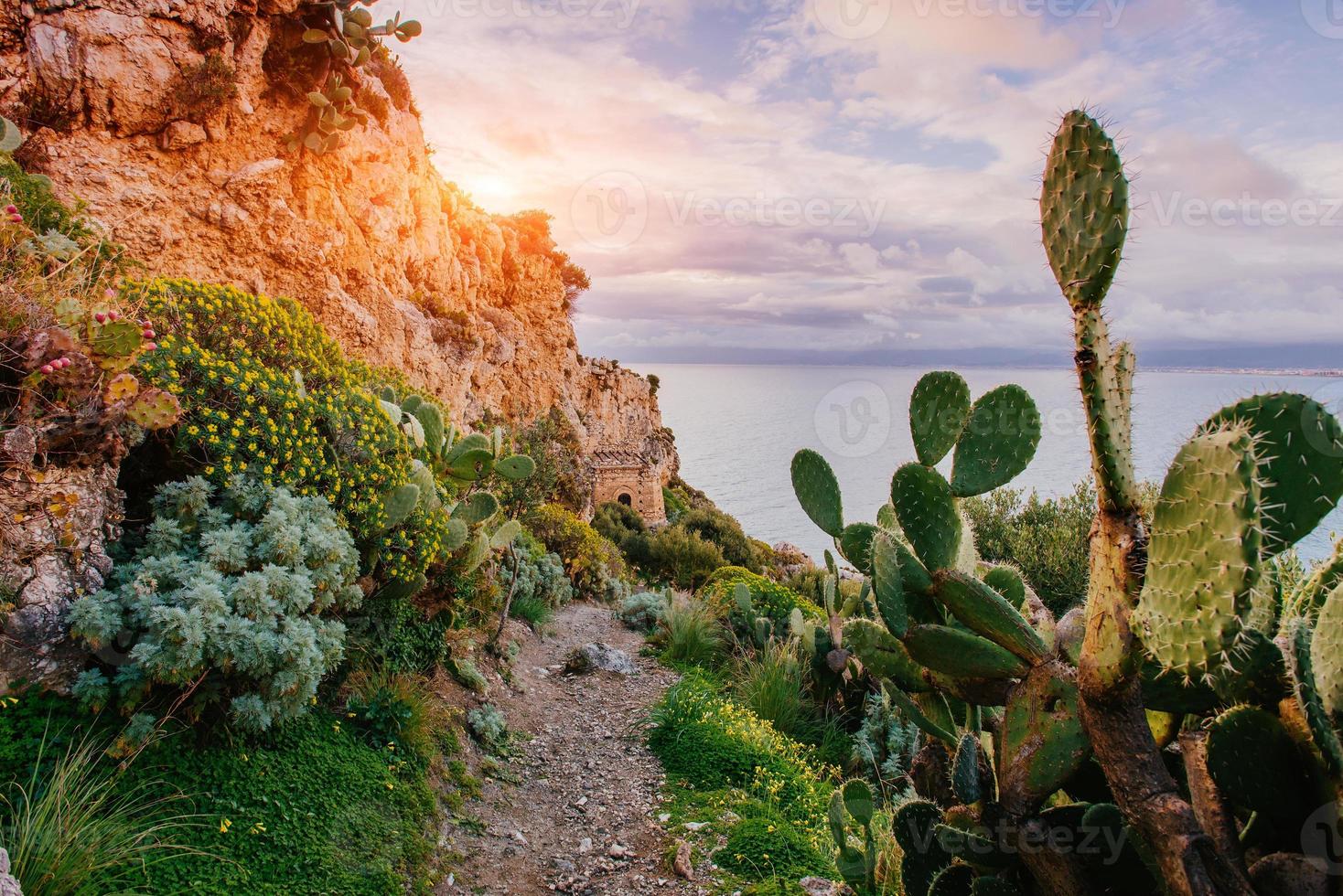 Beautiful views of the cliffs photo
