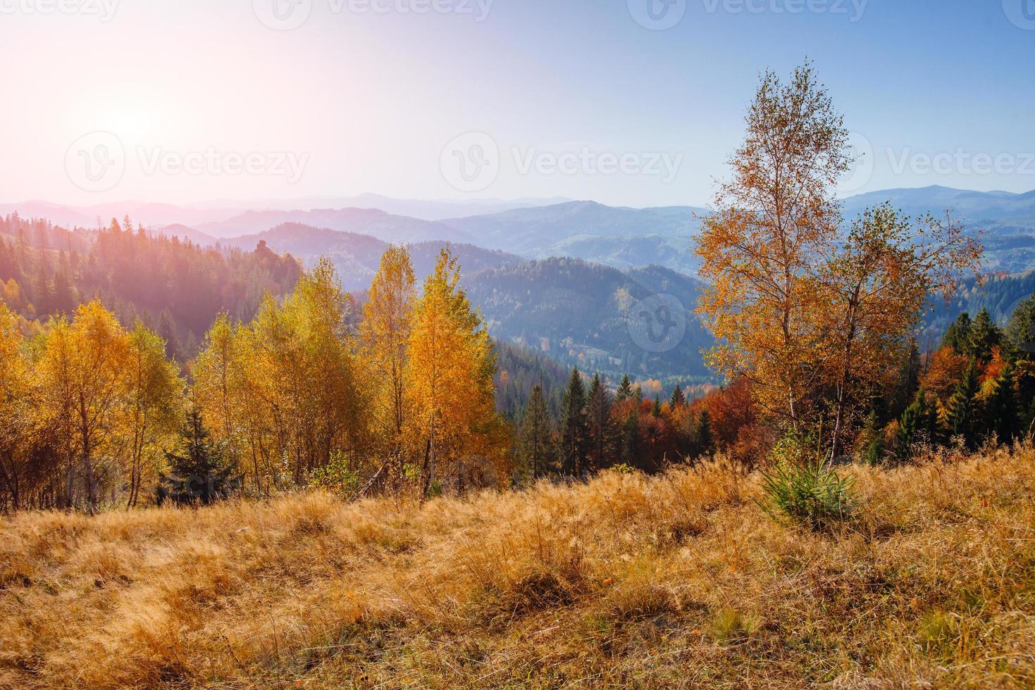 pintoresco paisaje de otoño foto