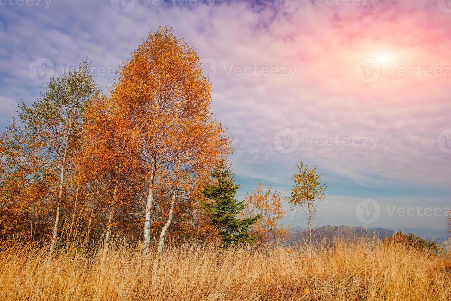 pintoresco paisaje de otoño foto