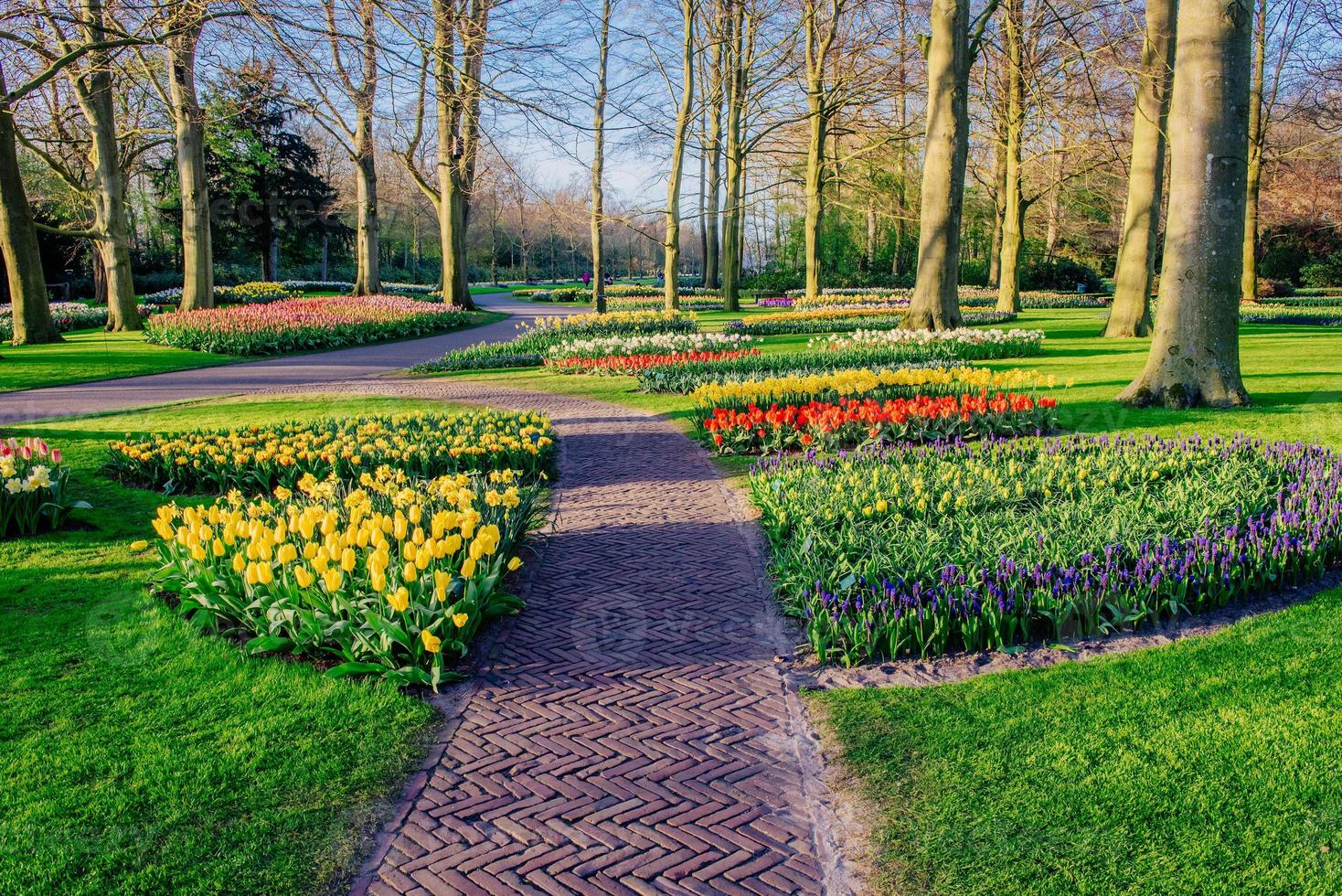 macizos de flores en el parque. foto