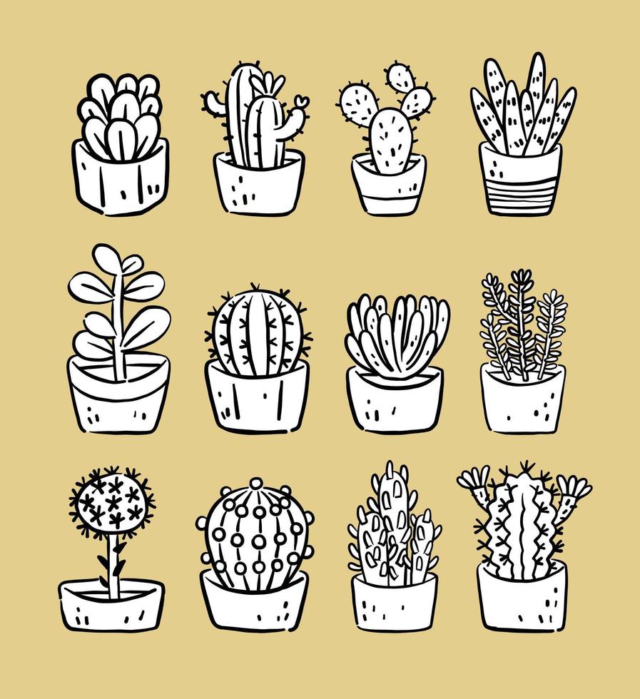 line draw succulents and cacti with black and white color vector