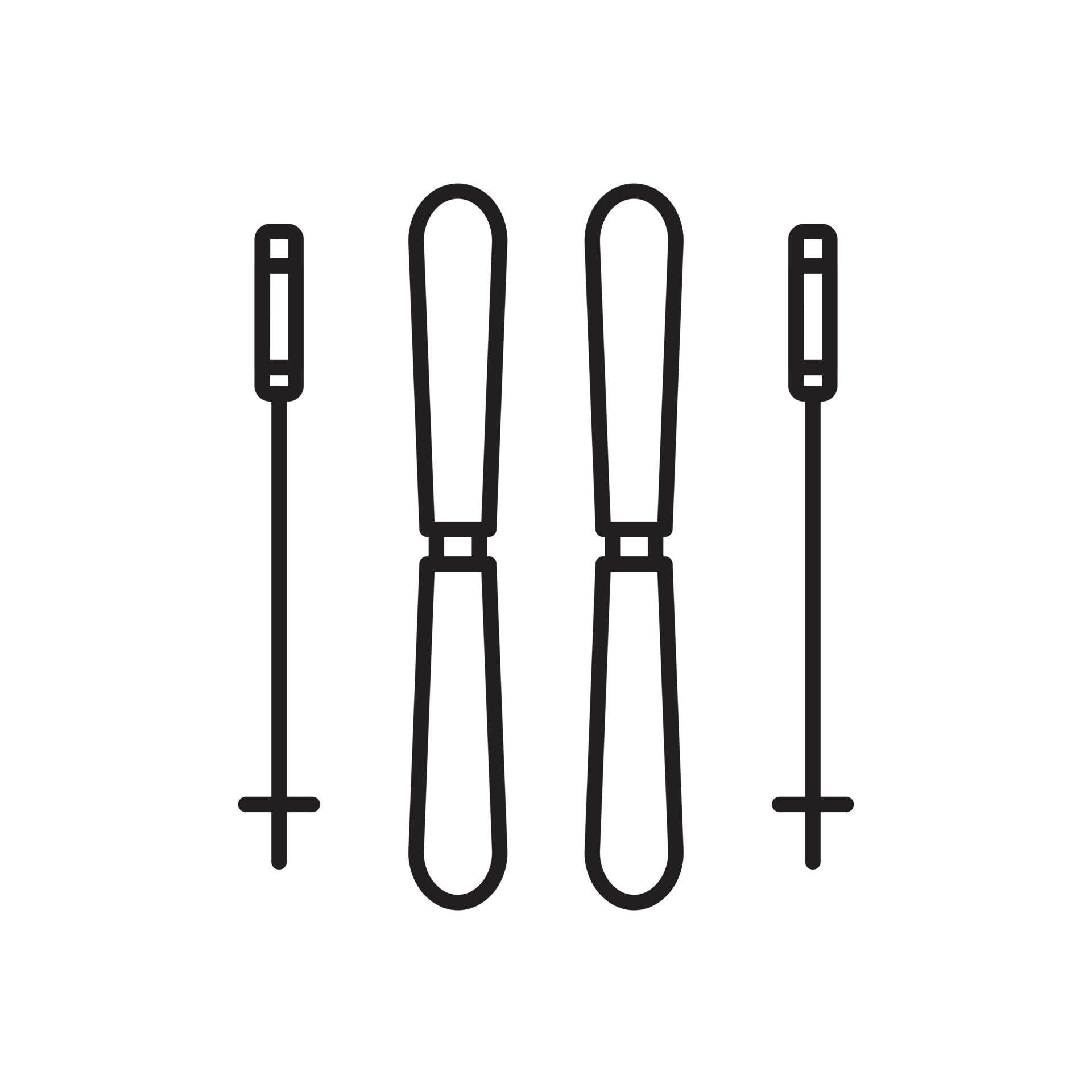 Skis icon template black color editable. Skis icon symbol Flat vector  illustration for graphic and web design. 6695812 Vector Art at Vecteezy