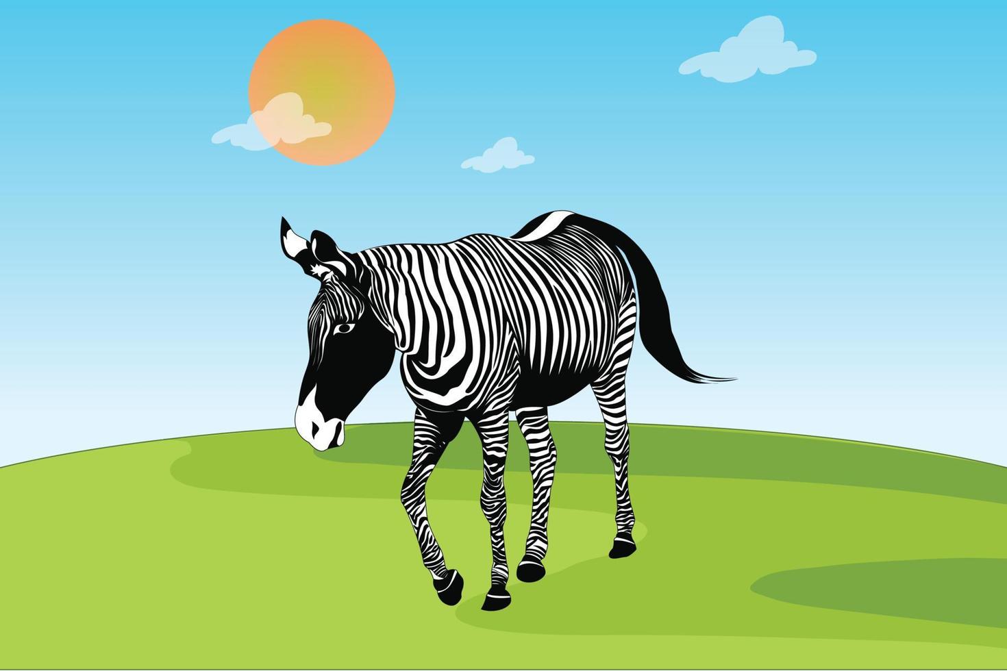 Adult zebra in walking position Free Vector