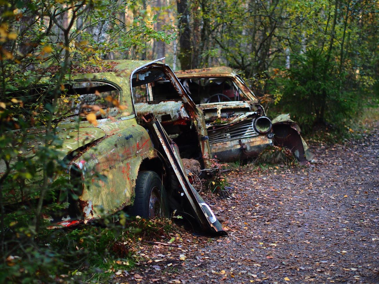 Junk car cemetery photo