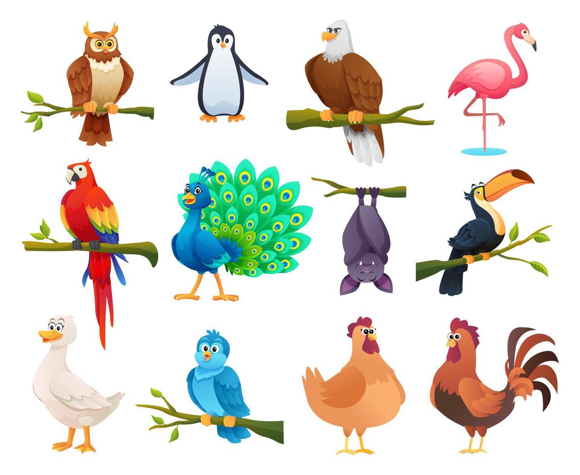 colección de diferentes pájaros en estilo de dibujos animados vector