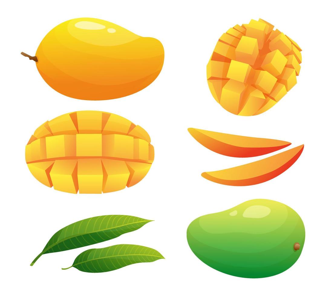 Set of mango fruits whole, half and cubic slices illustration isolated on white background vector