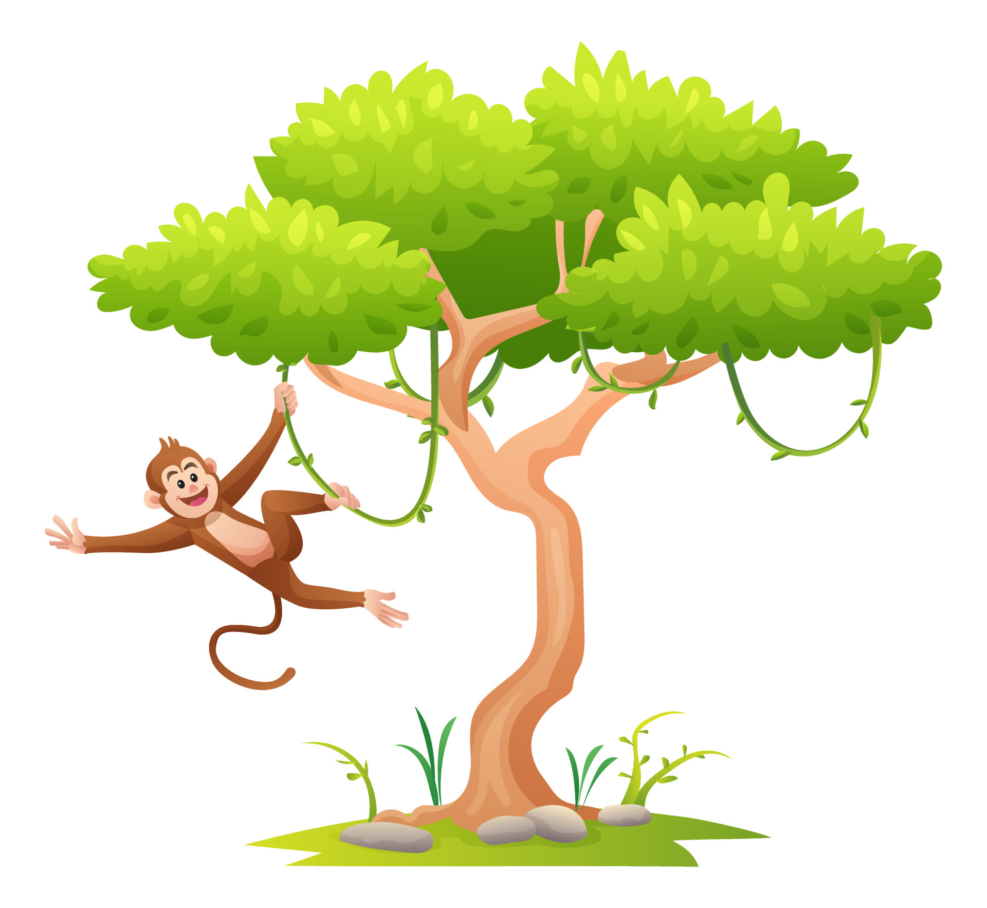 Monkey Hanging On Tree