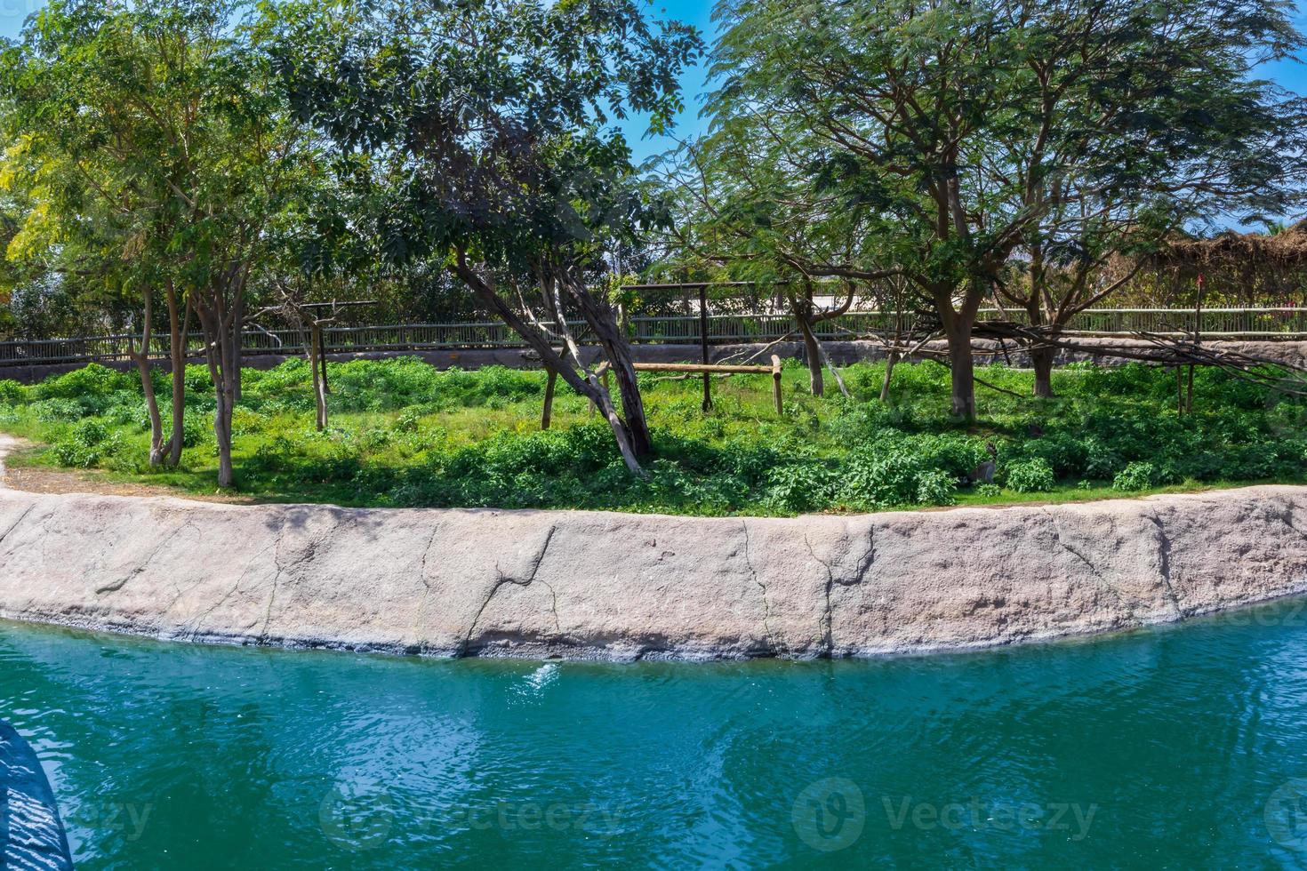 landscape from the forest photo