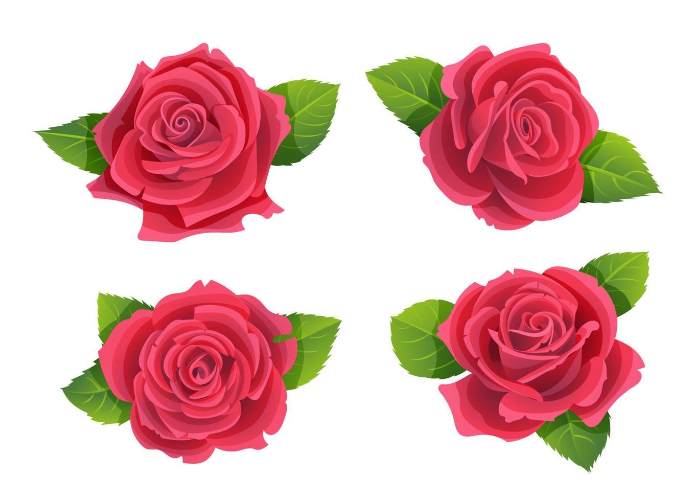 Set of beautiful rose flowers vector illustration