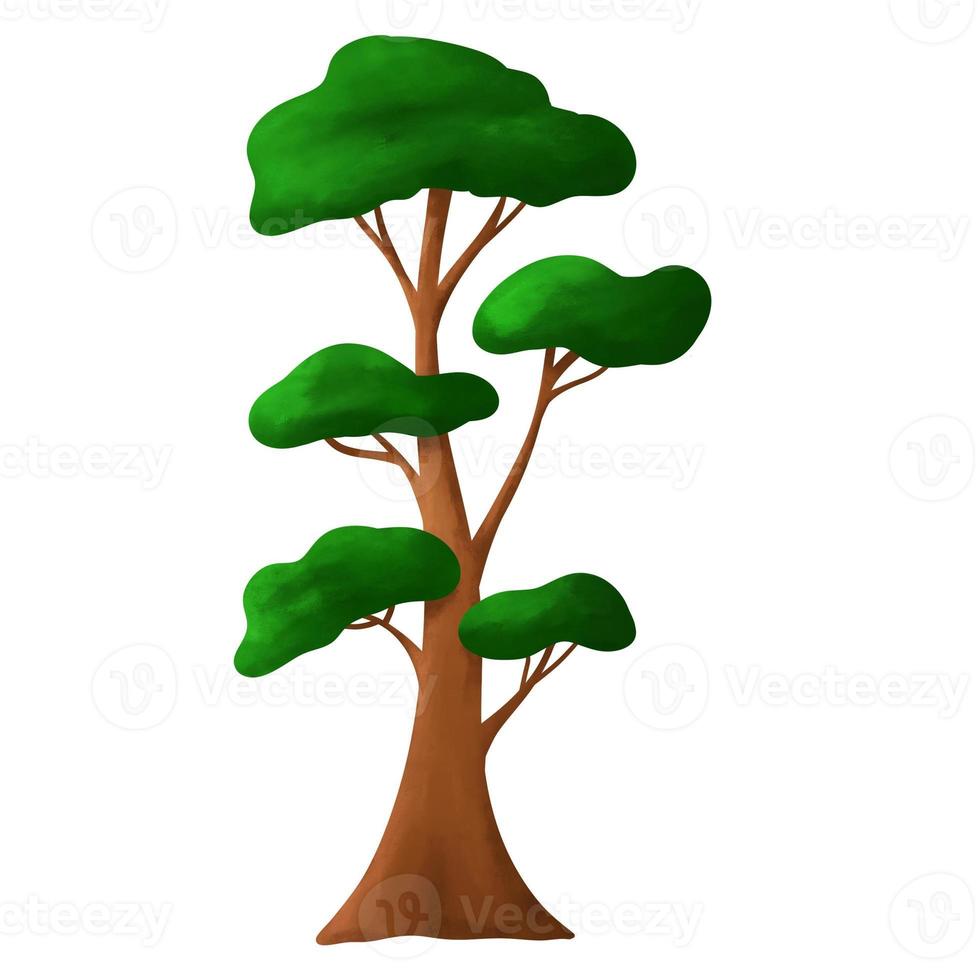 Isolated green tree on white background. Single tropical tree in illustrative photo
