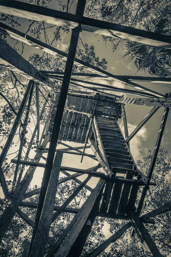 mirador de madera torre selva tropical a laguna muyil panorama mexico. foto