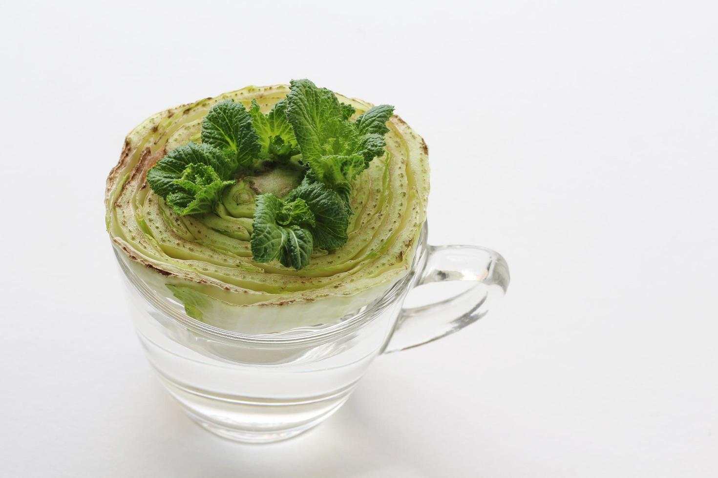 Chinese cabbage re-sprouts from the old plant in a glass with water on white background. Vegetables rebounding in water glass. photo