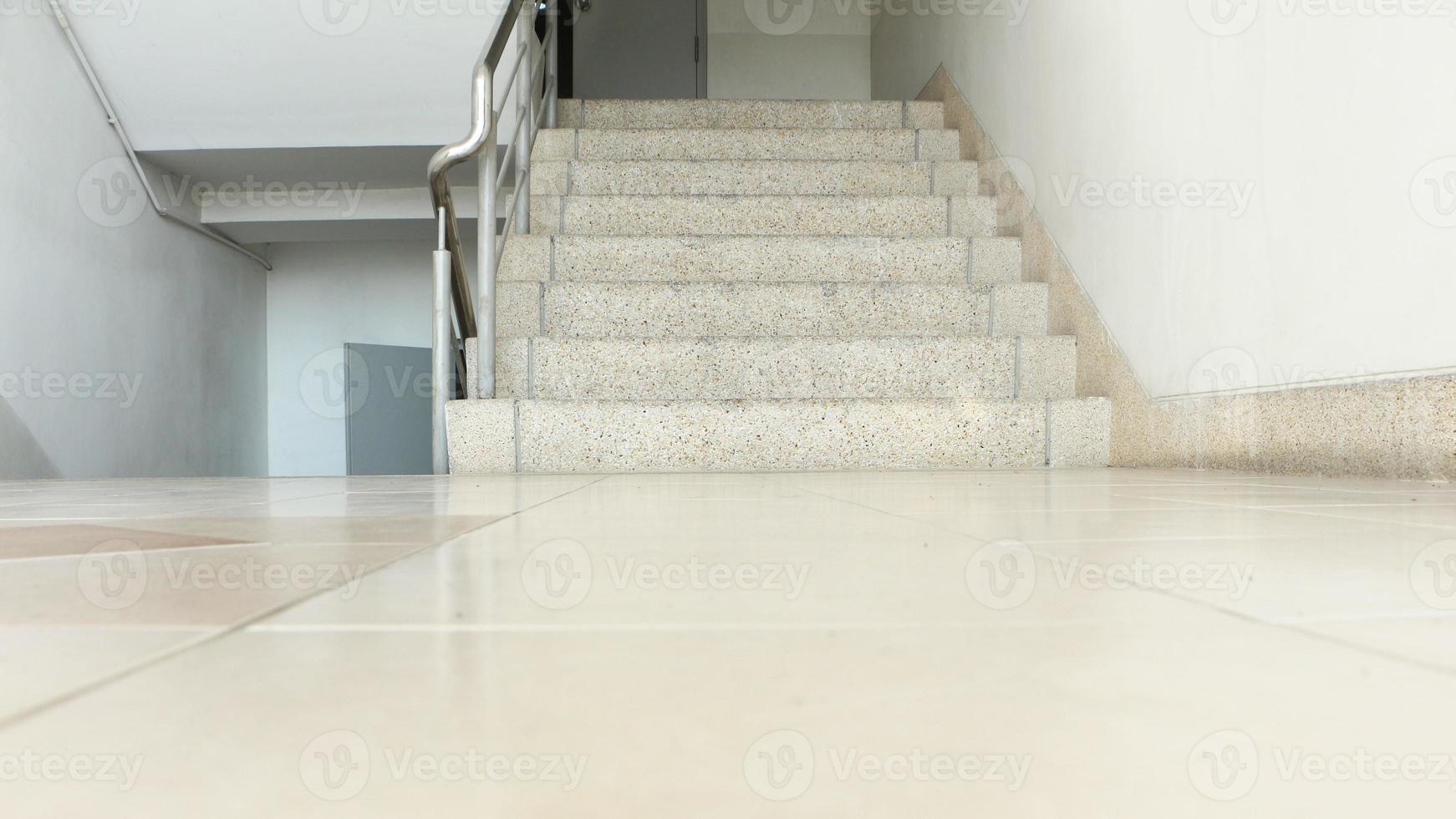 Concrete stair with exposed aggregate finish. View of reptiles. photo