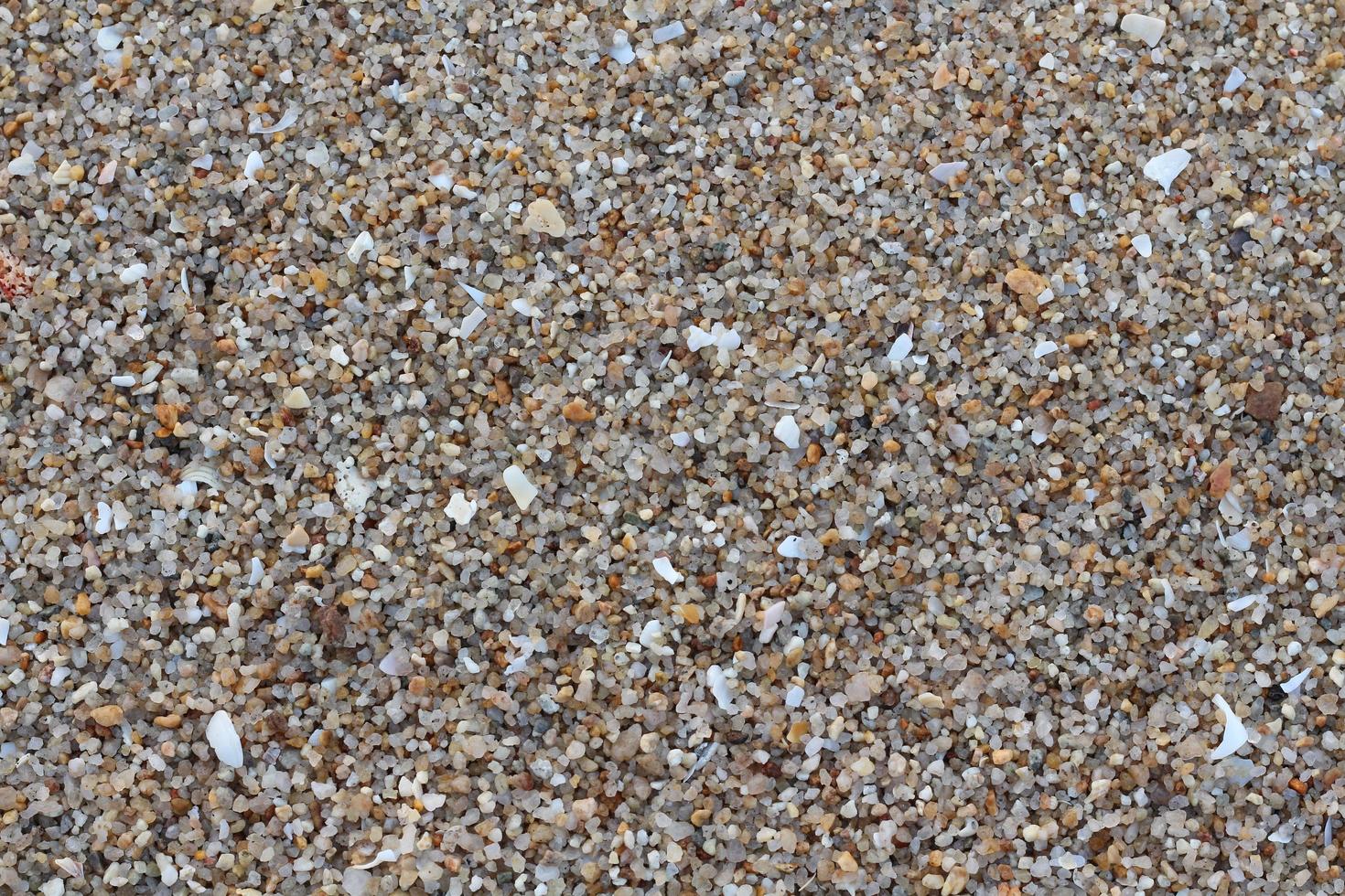 Sand gravel texture on the beach for background. Top view. photo