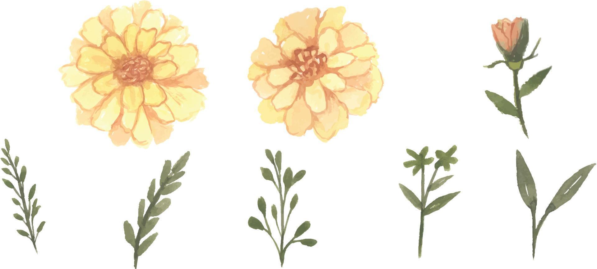 conjunto de acuarela floral salvaje dibujado a mano hojas y flores con elementos de ramo colección aislada vector