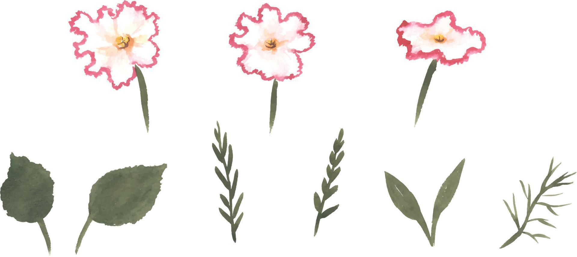 Set of Watercolor wild floral hand drawn leaves and flowers with bouquet elements isolated collection vector