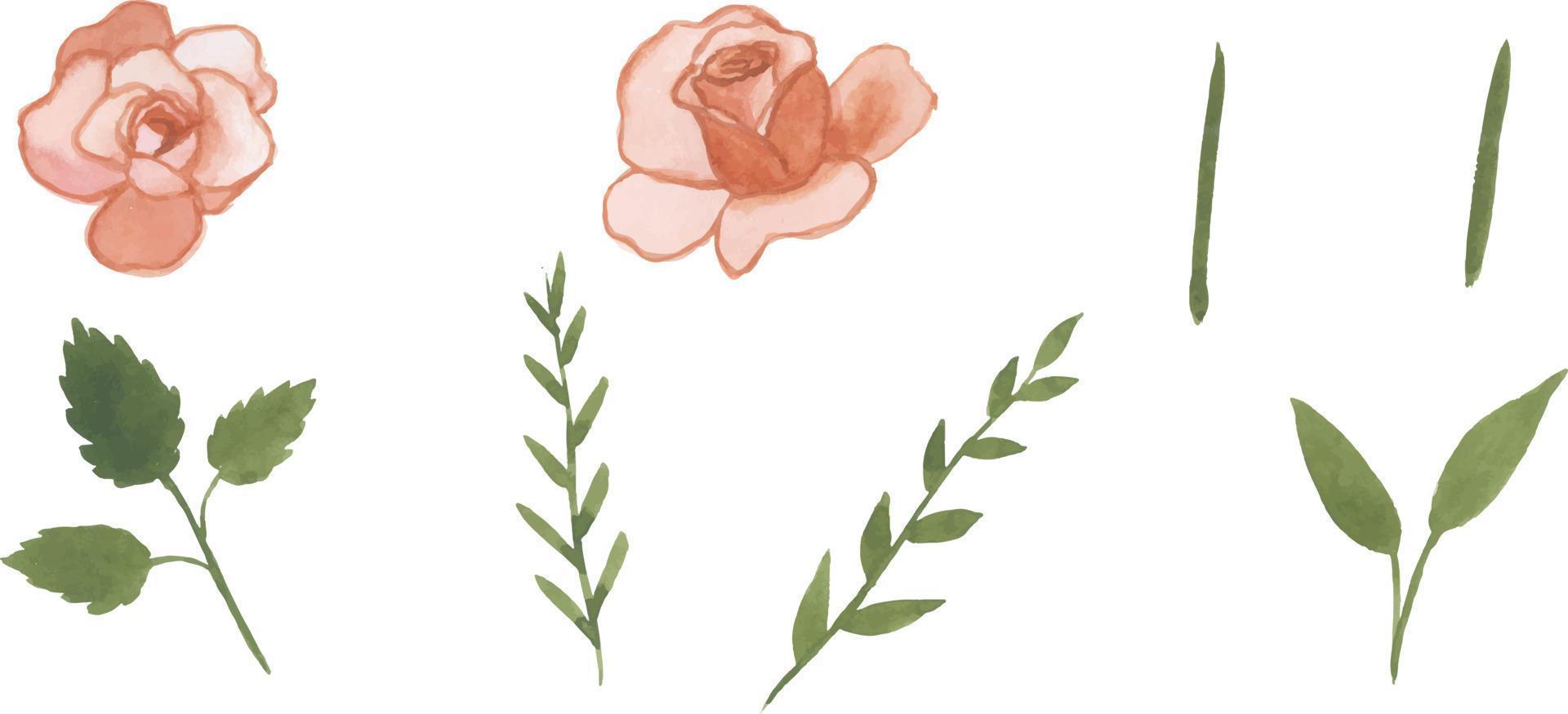 Set of Watercolor wild floral hand drawn leaves and flowers with bouquet elements isolated collection vector