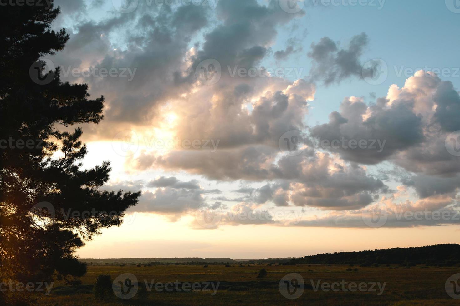 The silhouette of the branches of a large pine tree against the orange sky in the evening. Clouds at sunset in summer illuminated by the orange light of the sun. Heavenly magic light. photo