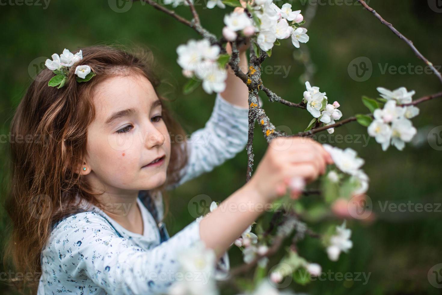 una linda niña de 5 años en un floreciente huerto de manzanas blancas en primavera. primavera, huerta, floración, alergia, fragancia primaveral, ternura, cuidado de la naturaleza. retrato foto