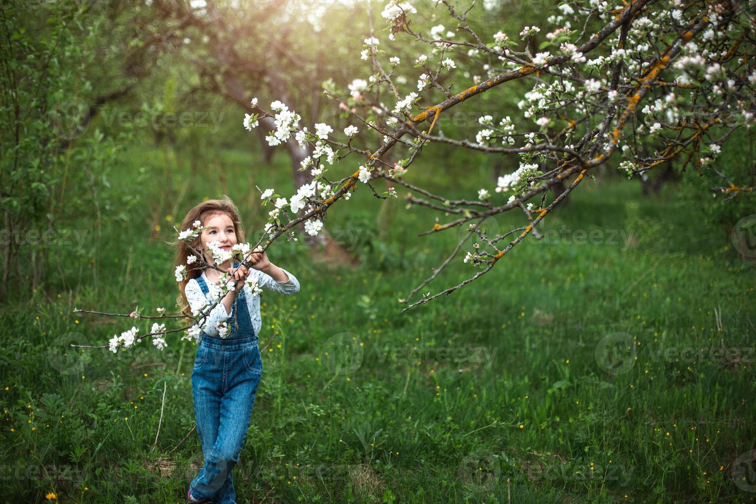 A cute little girl of 5 years old in a blooming white apple orchard in spring. Springtime, orchard, flowering, allergy, spring fragrance, tenderness, caring for nature. Portrait photo