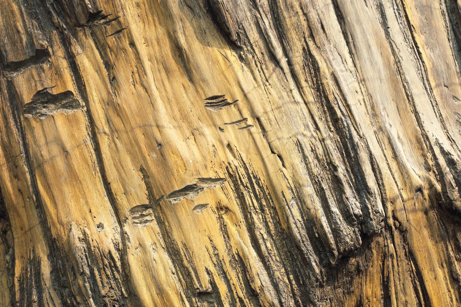 Closeup view of the stone wall photo