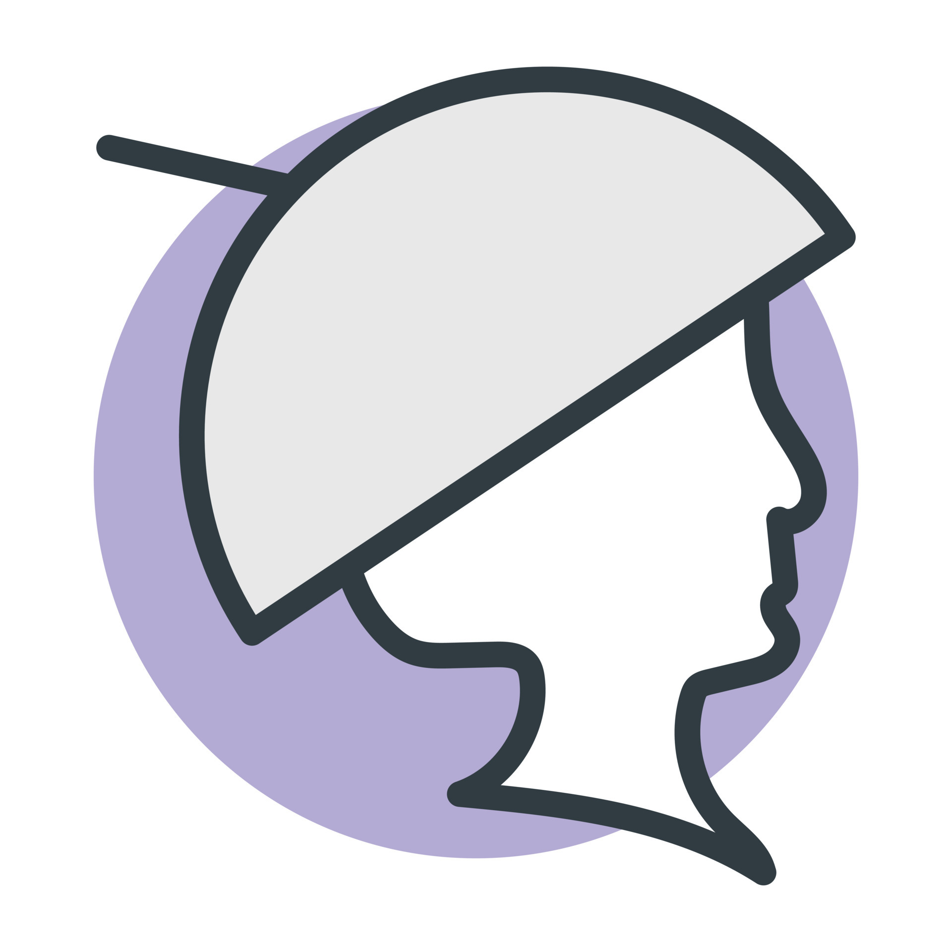 hair-steamer-concepts-6700583-vector-art-at-vecteezy