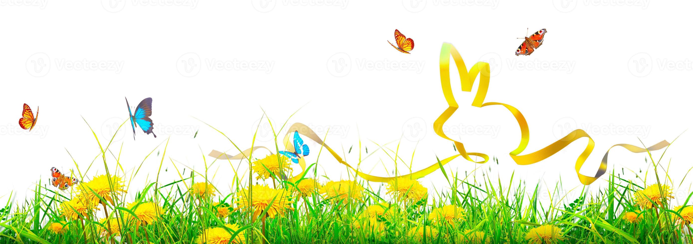 Funny Easter bunny. Happy Easter holiday concept. photo