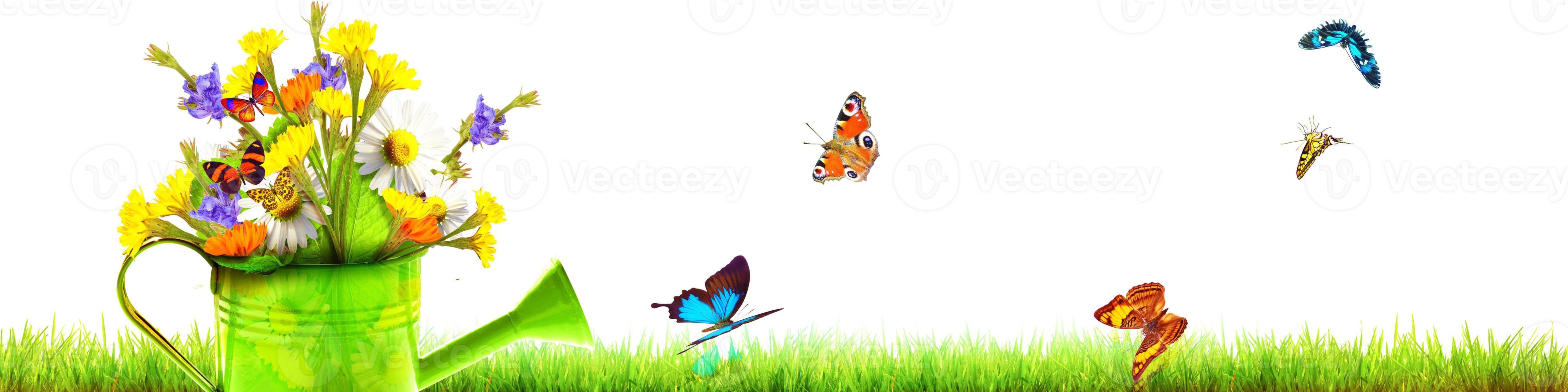 Colorful wild flower bouquet in a watering can with butterflies. photo
