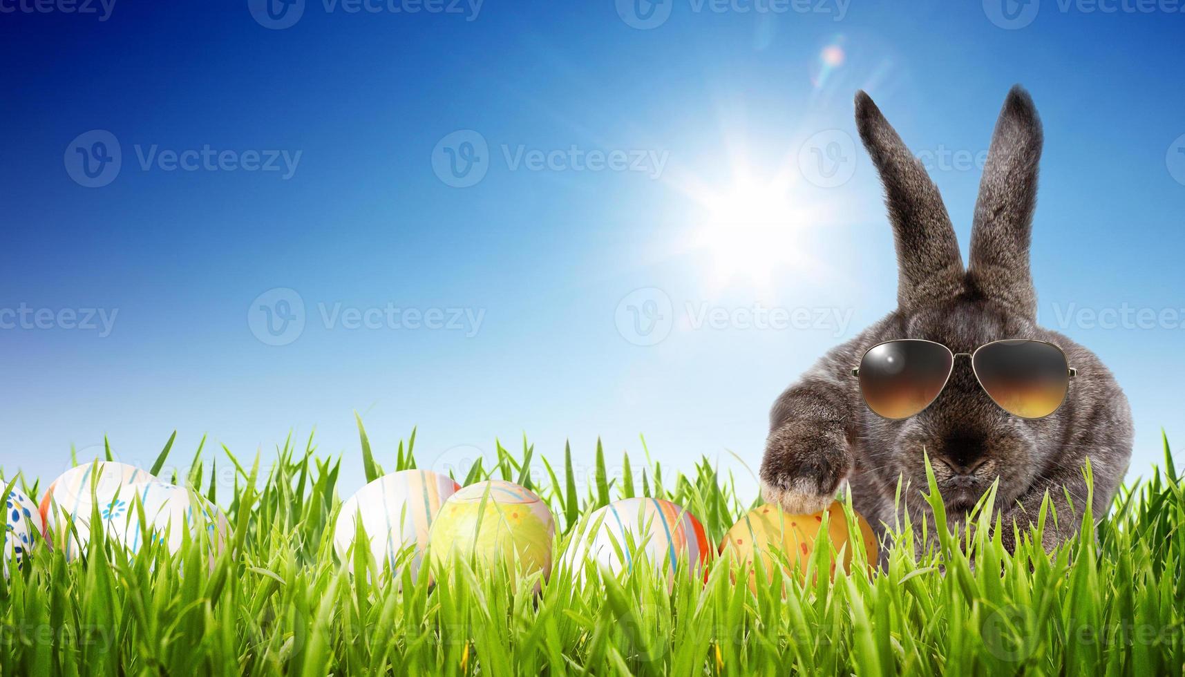 divertido conejito de pascua. feliz concepto de vacaciones de pascua. foto