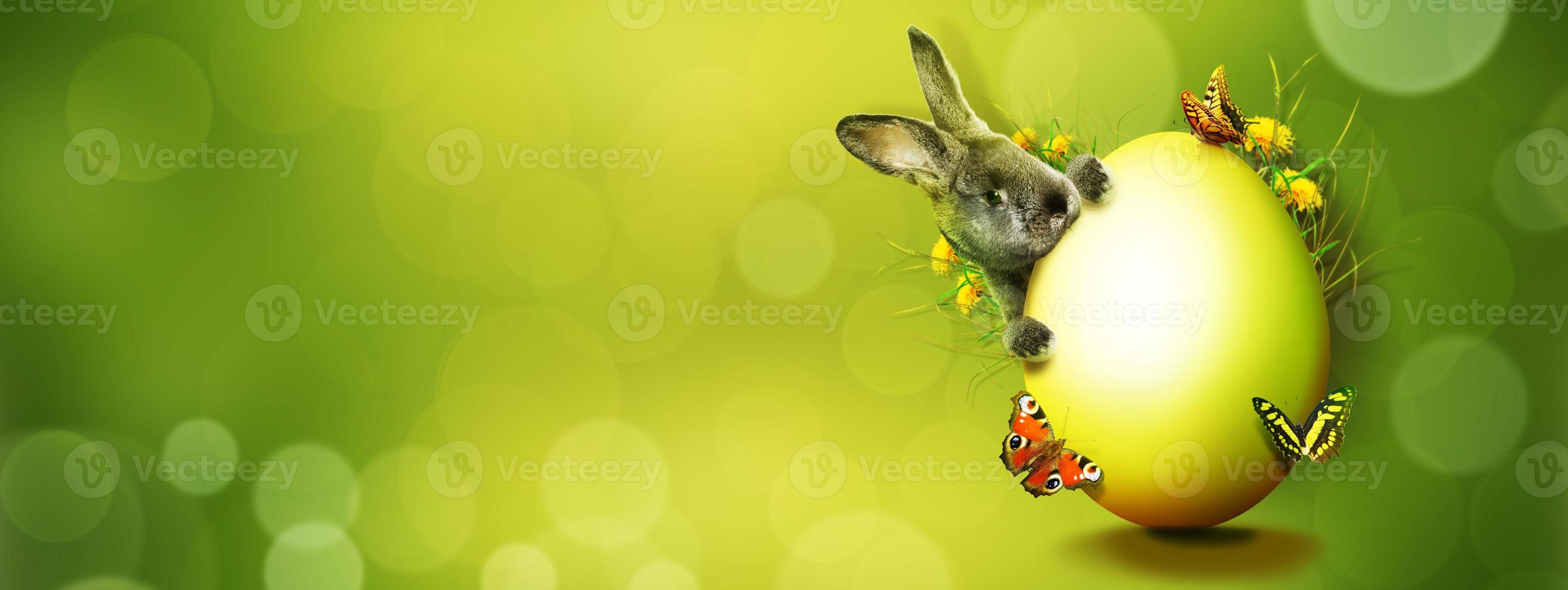 Funny Easter bunny. Happy Easter holiday concept. photo