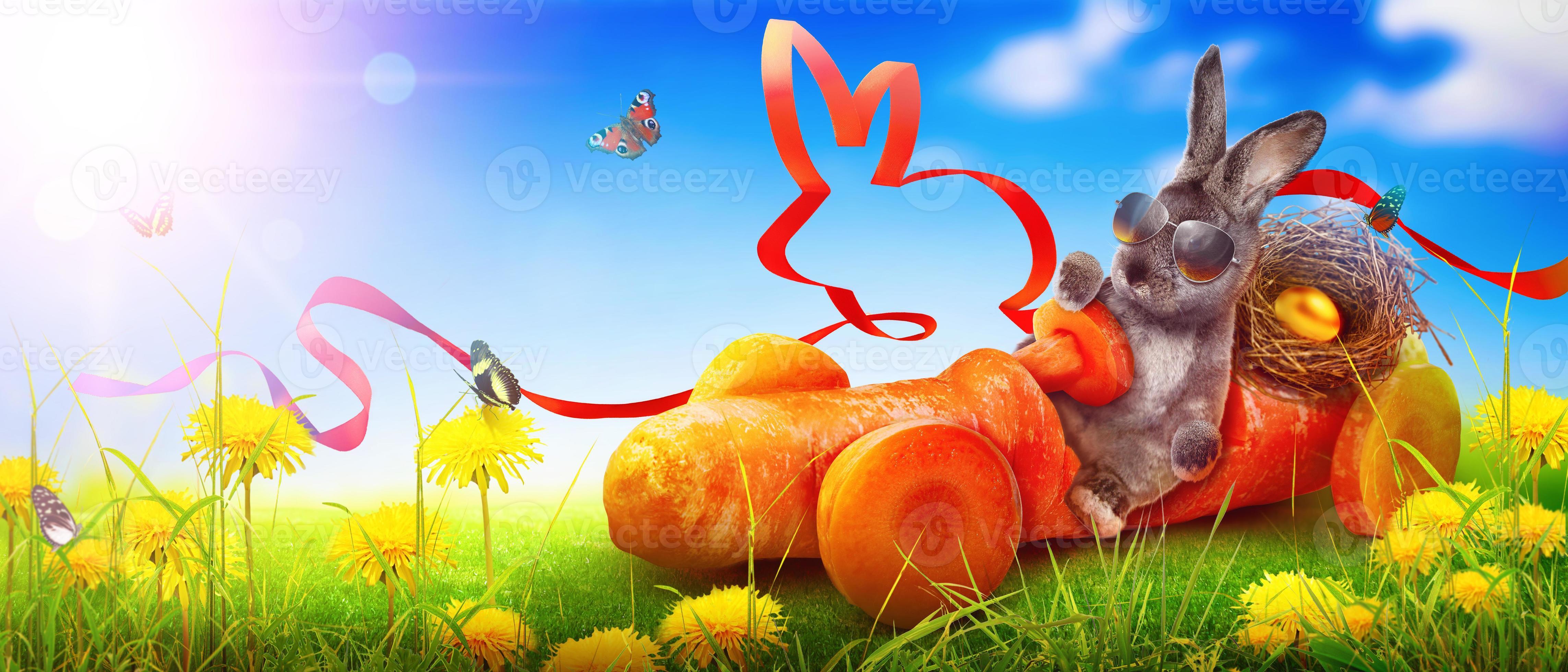 Dirty Easter Bunny Gif - i1l0hg9