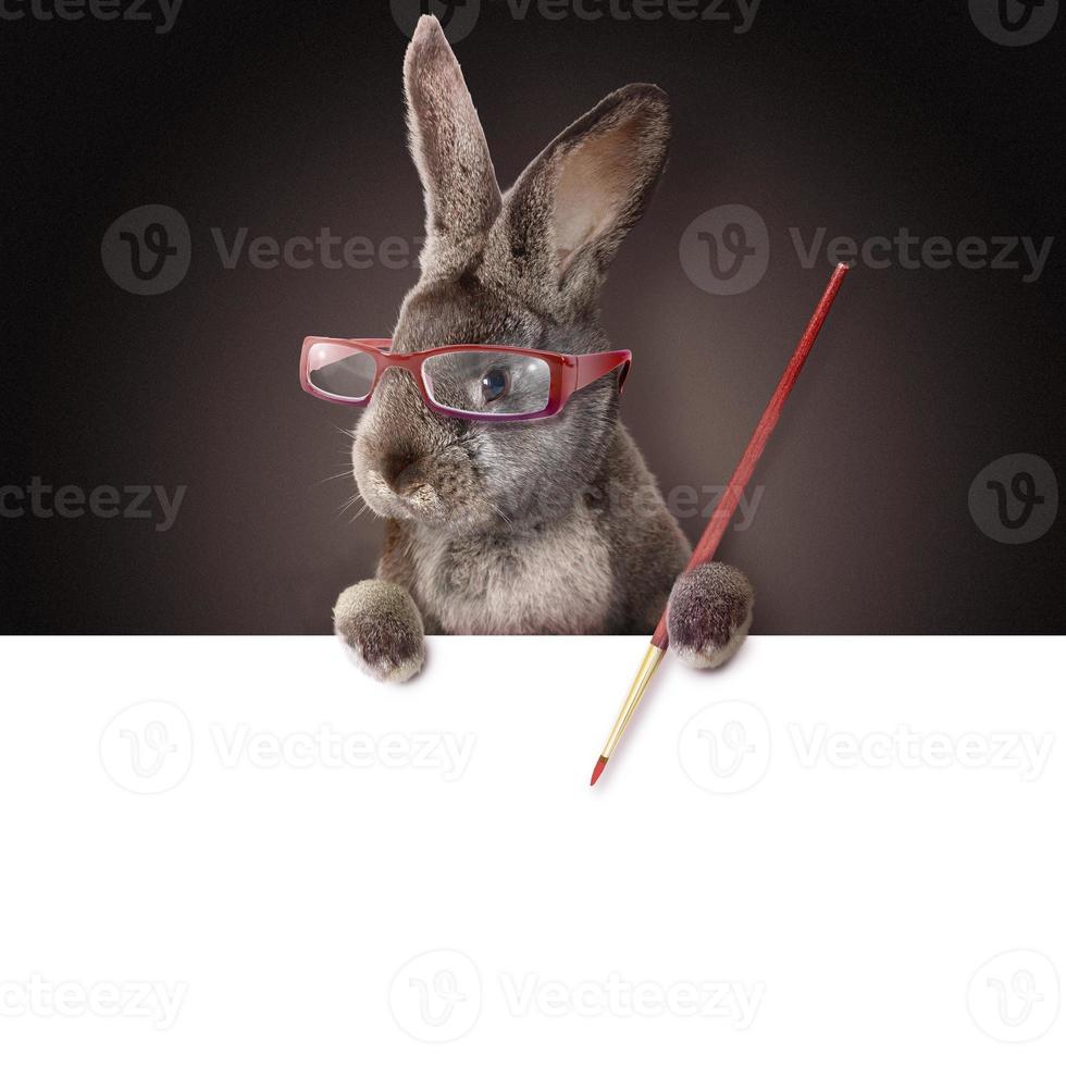 Funny Easter bunny. Happy Easter holiday concept. photo