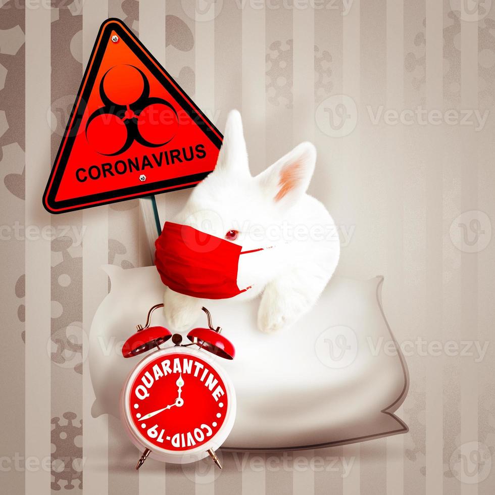 Easter rabbit with medical mask at epidemic time photo