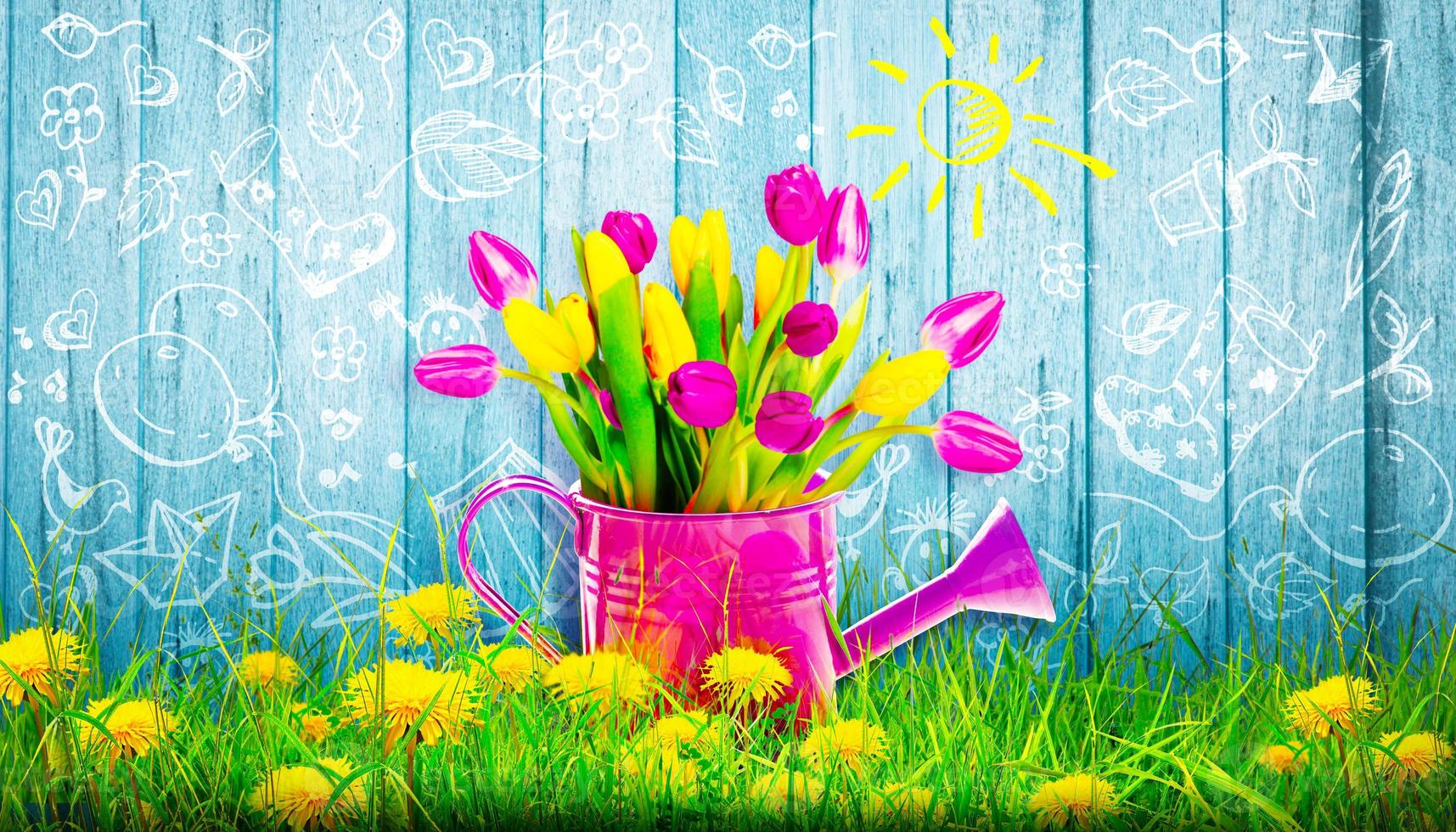 colorido ramo de tulipanes en una regadera. concepto de primavera y jardinería. foto