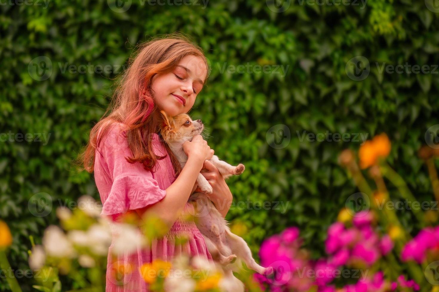 adolescente con un vestido rosa con un perro chihuahua blanco de pelo largo. niña y mascota. foto