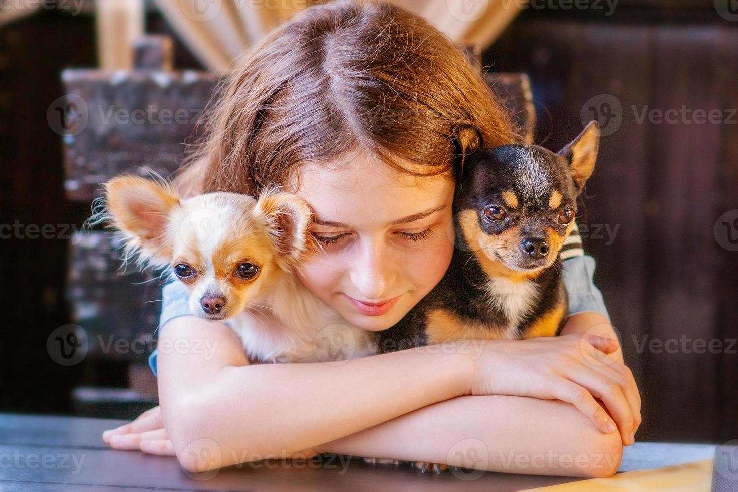 una niña y dos perros. jovencita con dos perros chihuahua blancos y negros. la niña abraza a los perros. foto