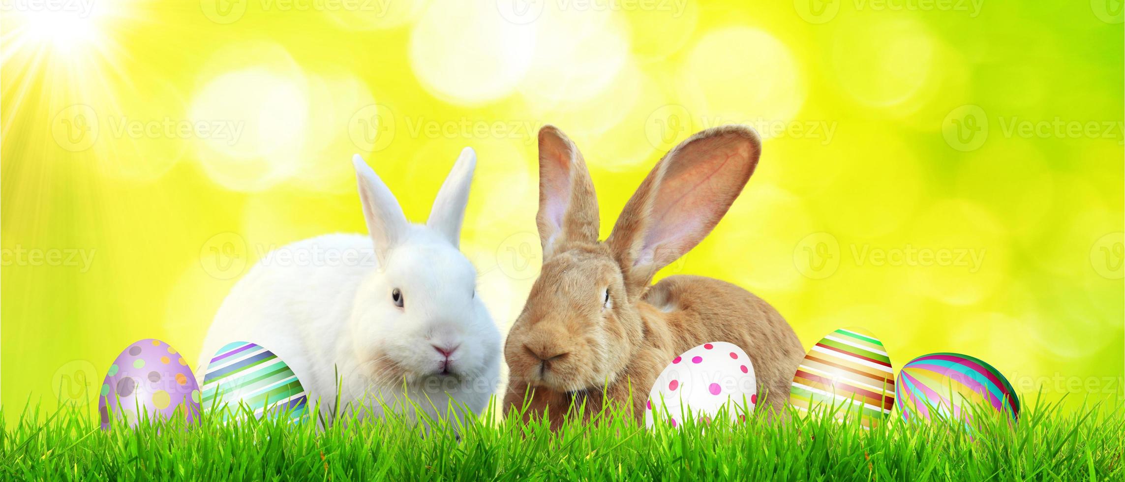 Beautiful Easter background with colorful Easter eggs photo