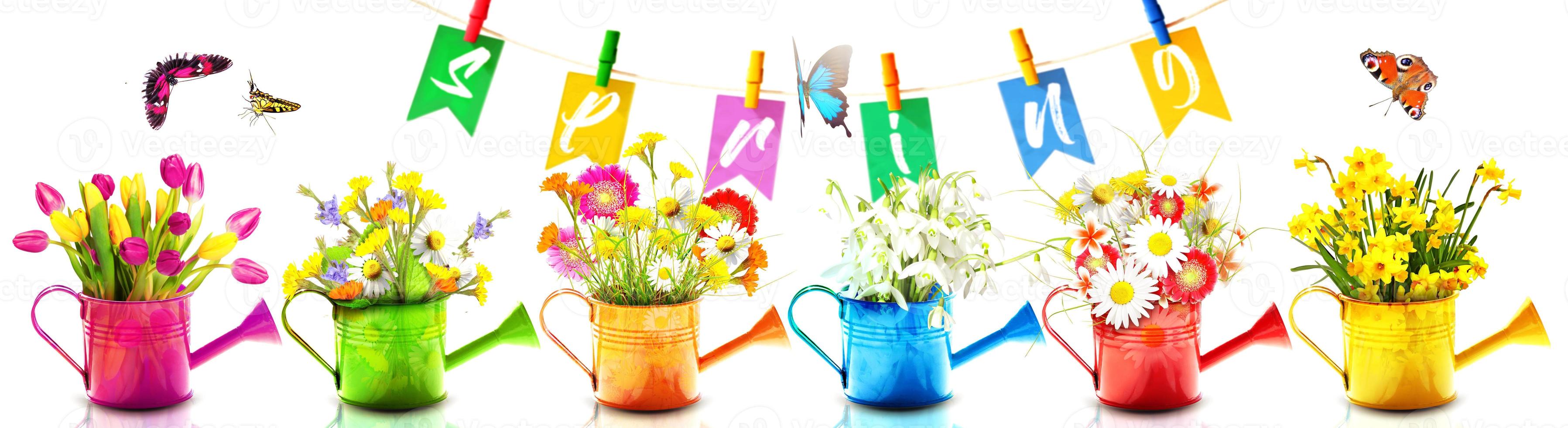 Colorful wild flower bouquet in a watering can with butterflies. photo