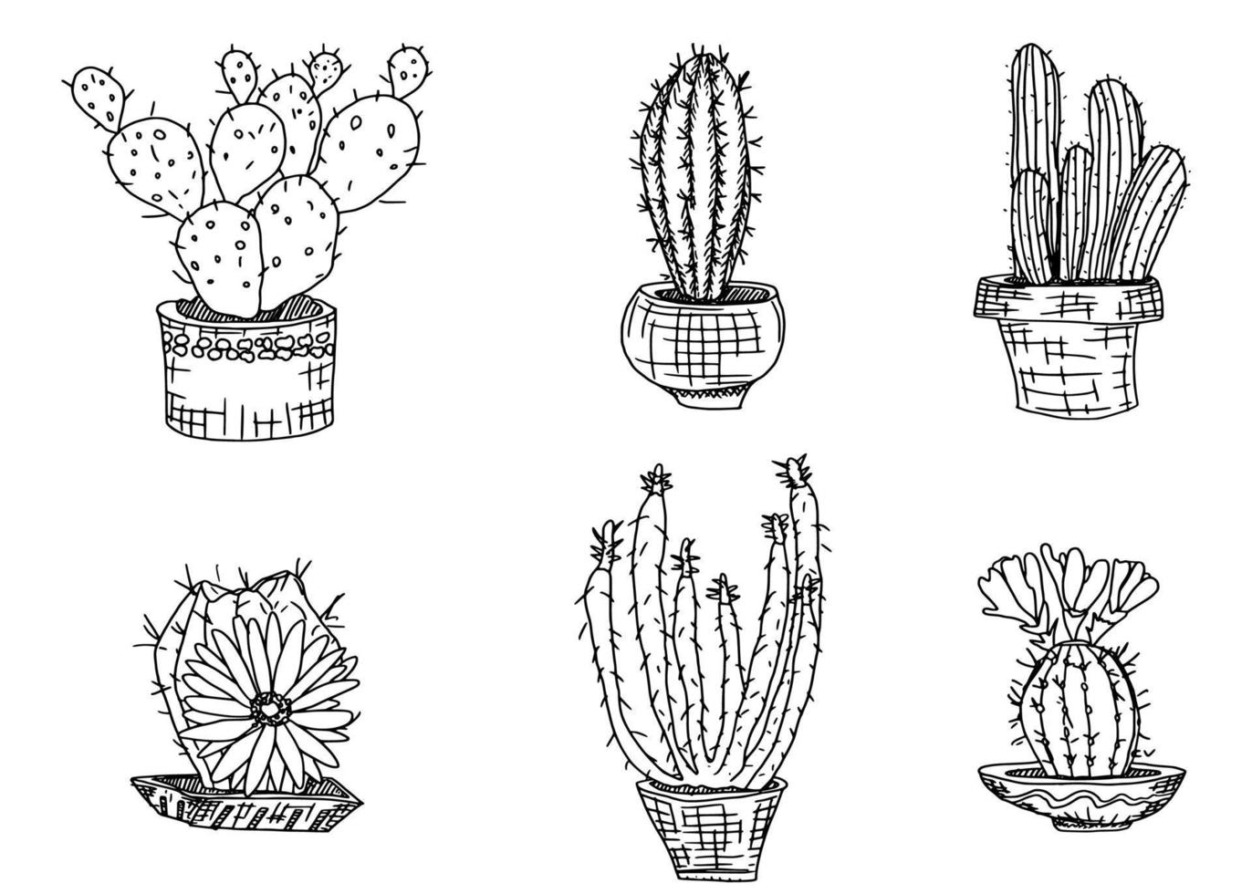plantas cactus dibujando en blanco simple. garabatear vector