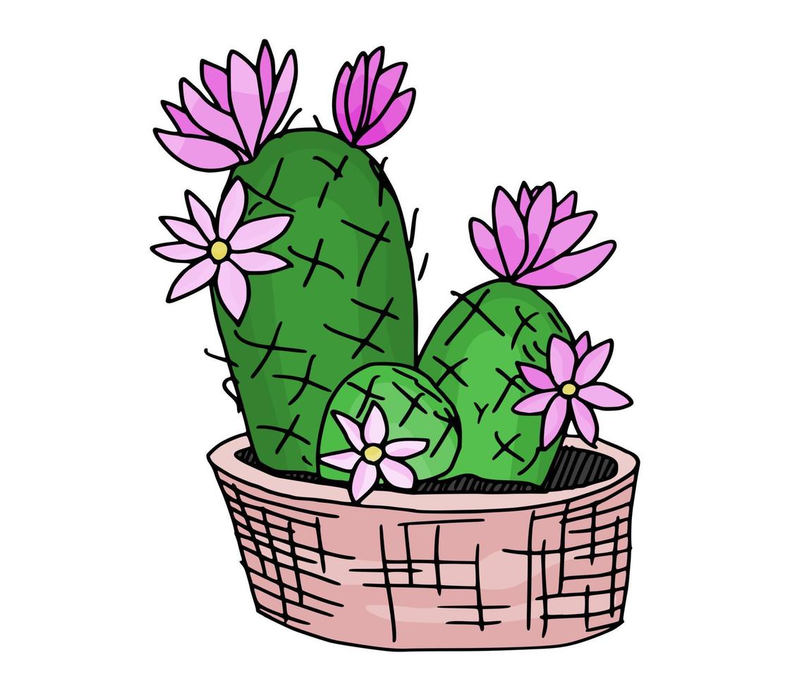 bright cactus sketch drawing vector.news flowers vector