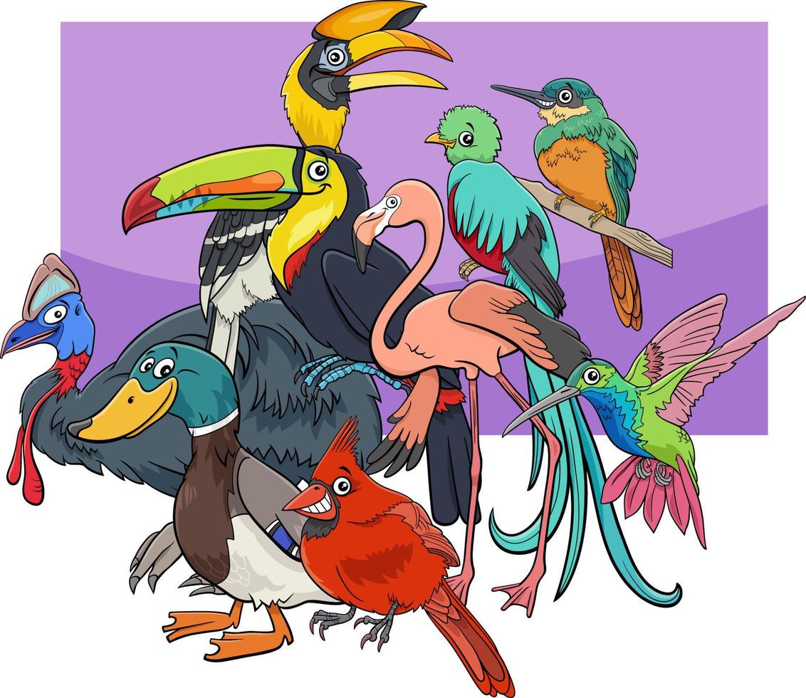 grupo de personajes de animales de aves de dibujos animados vector