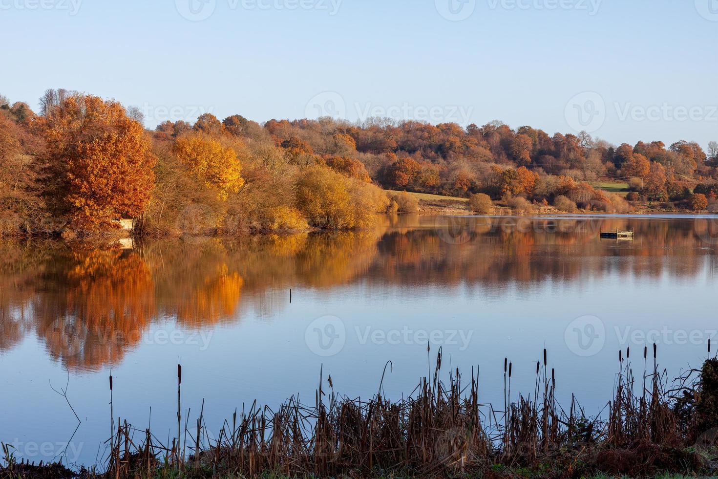 Russet colours of autumn at Weir Wood Reservoir near East Grinstead photo